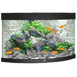 juwel-trigon-190-led-noir-aquarium-d-angle-equipe-70-x-70-x-60-cm-190-l
