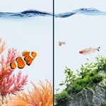 juwel-digital-thermometer-4-0-thermometre-numerique-a-pile-pour-aquarium-7-min