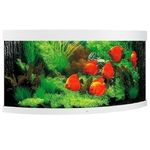 juwel-trigon-350-led-blanc-aquarium-d-angle-equipe-87-x-87-x-65-cm-350-l