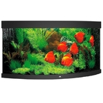 juwel-trigon-350-led-noir-aquarium-d-angle-equipe-87-x-87-x-65-cm-350-l