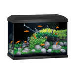 juwel-primo-70-led-2-0-noir-aquarium-equipe-de-70-l-avec-dimensions-de-61-x-31-x-43-5-cm