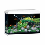 juwel-primo-70-led-2-0-blanc-aquarium-equipe-de-70-l-avec-dimensions-de-61-x-31-x-43-5-cm