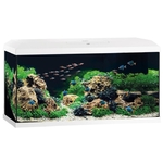 juwel-primo-110-led-2-0-blanc-aquarium-equipe-de-110-l-avec-dimensions-de-81-x-36-x-43-5-cm
