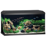 juwel-primo-110-led-2-0-noir-aquarium-equipe-de-110-l-avec-dimensions-de-81-x-36-x-43-5-cm