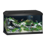 juwel-primo-60-led-2-0-noir-aquarium-equipe-de-57-l-avec-dimensions-de-61-x-31-x-36-5-cm