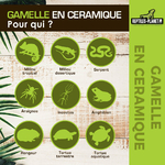 reptiles-planet-gamelle-en-ceramique-abreuvoir-blanc-dimensions-8-x-4-x-1-5-cm-1