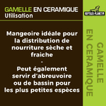 reptiles-planet-gamelle-en-ceramique-abreuvoir-blanc-dimensions-8-x-4-x-1-5-cm-3