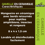 reptiles-planet-gamelle-en-ceramique-blanc-speciale-vers-de-farine-dimensions-8-x-4-x-1-5-cm-3