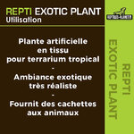 reptiles-planet-repti-exotic-plant-nephnolepis-cordifoolia-presl-plante-artificielle-pour-terrarium-5