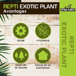 reptiles-planet-repti-exotic-plant-nephnolepis-cordifoolia-presl-plante-artificielle-pour-terrarium-6