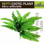 reptiles-planet-repti-exotic-plant-nephnolepis-cordifoolia-presl-plante-artificielle-pour-terrarium-1