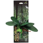 reptiles-planet-repti-exotic-plant-phalaenopsis-amabilis-plante-artificielle-pour-terrarium