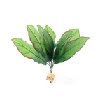 reptiles-planet-repti-exotic-plant-cala-plante-artificielle-pour-terrarium-2