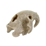 reptiles-planet-bird-skull-16-x-13-x-10-cm-decoration-artificielle-pour-terrarium-2