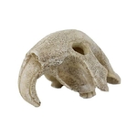 reptiles-planet-bird-skull-16-x-13-x-10-cm-decoration-artificielle-pour-terrarium-1
