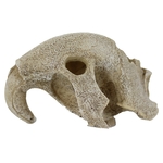 reptiles-planet-bird-skull-16-x-13-x-10-cm-decoration-artificielle-pour-terrarium