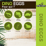 reptiles-planet-dino-eggs-20-x-16-x-4-7-cm-decoration-artificielle-pour-terrarium-3