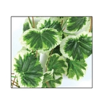reptiles-planet-congo-jungle-vine-2-6-m-plante-en-tissu-pour-terrarium-1
