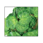 reptiles-planet-serengti-jungle-vine-2-6-m-plante-en-tissu-pour-terrarium-1