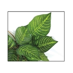 reptiles-planet-plante-en-tissu-cruise-jungle-vine-2-6-m-plante-en-tissu-pour-terrarium-1