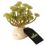 reptiles-planet-green-succulent-aeonium-11-cm-plante-artificielle-pour-terrarium