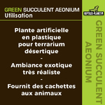 reptiles-planet-green-succulent-aeonium-11-cm-plante-artificielle-pour-terrarium-3