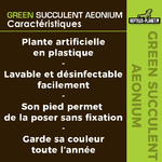 reptiles-planet-green-succulent-aeonium-11-cm-plante-artificielle-pour-terrarium-2