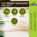 reptiles-planet-red-desert-succulent-15-cm-plante-artificielle-pour-terrarium-2