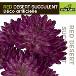 reptiles-planet-red-desert-succulent-15-cm-plante-artificielle-pour-terrarium-1