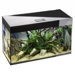 aquael-glossy-80-led-2-0-noir-laque-aquarium-80-cm-volume-125-l-et-eclairage-leds-1