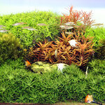 jbl-solar-ultra-natur-t5-45w-89-5-cm-tube-neon-lumiere-du-jour-pour-aquarium-d-eau-douce-1