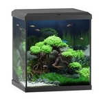 juwel-vio-cube-54-noir-nano-aquarium-equipe-54-l-41-x-36-x-47-cm-avec-eclairage-leds