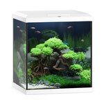 juwel-vio-cube-54-blanc-nano-aquarium-equipe-54-l-41-x-36-x-47-cm-avec-eclairage-leds