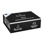 polyplab-genesis-rock-booster-lot-de-2-roches-de-filtration-biologique-100-ceramique-haute-porosite-livre-avec-bacteries