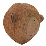 hobby-coco-monkey-2-decoration-cachette-pour-animaux-de-terrarium-1
