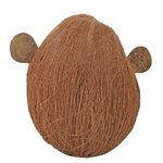 hobby-coco-monkey-1-decoration-cachette-pour-animaux-de-terrarium-4