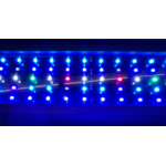 aqua-medic-sunbeam-leds