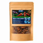 hobby-jungle-star-flowers-lot-de-25-gousses-sechees-de-l-arbre-tropical-sterculia-pour-aquarium-d-eau-douce