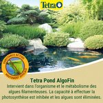 tetra-pond-algofin-detruit-les-algues-filamenteuses-et-autres-algues-courantes-en-bassin