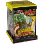 zoomed-creature-habitat-kit-terrarium-22-x-22-x-28-cm-pour-araignees-insectes-et-autres-invertebres-1