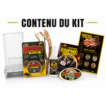 zoomed-jumping-spider-kit-habitat-ventile-pour-arraignees-1-3