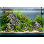 caisse-de-10-kg-de-pierres-naturelles-paysage-5-15-cm-pour-aquarium-d-eau-douce-1