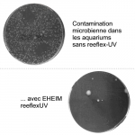 EHEIM-reeflexUV-2