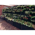 tapis de plantation 3