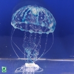 jbl-medusa-bleu-2