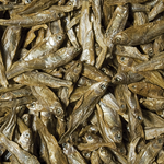 dried-fish-100