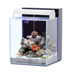 aquarium-aquatlantis-nano-marin-40-l-blanc