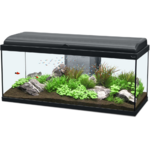 aquarium-aquadream-100-aquatlantis-noir