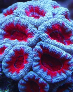 aquaforest-blog-2