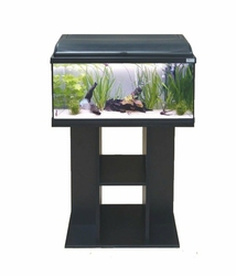 Aquadisio - Aquarium Alto 100cm - Noir